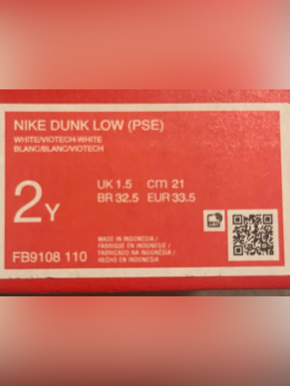 Nike Dunk low. Youth 2Y
